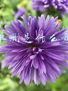 测单删是什么意思