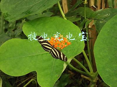 搜电充电宝