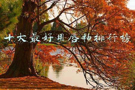 十大最好用唇釉排行榜