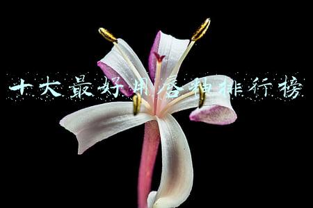 十大最好用唇釉排行榜 十大最好用唇釉排行榜