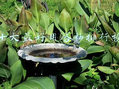 十大最好用唇釉排行榜 十大最好用唇釉排行榜