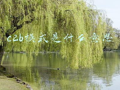 c2b模式是什么意思
