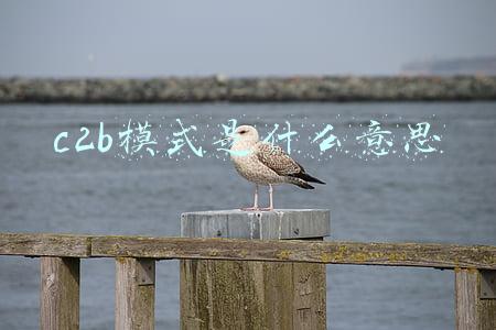 c2b2c模式是什么意思(到底什么是赋能B端的本质？从T2B2C到B2T2C还是C2T2B（一）)