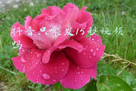 抖音只能发15秒视频吗