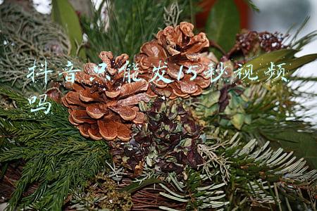 抖音只能发15秒视频吗