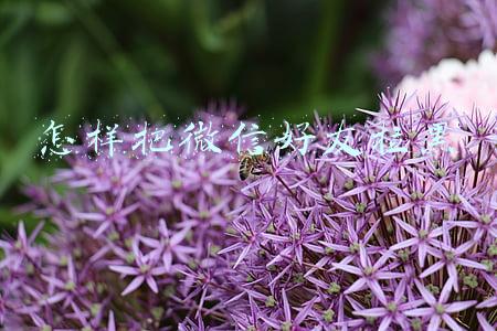 怎样把微信好友拉黑