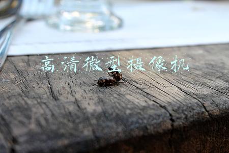 高清微型摄像机