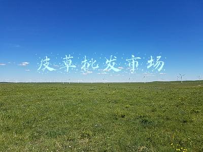 皮草批发市场