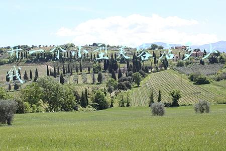 开一家小美容院多少钱(开个美容院要花多少钱)