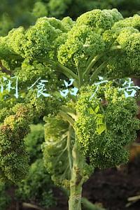 休闲食品广告语
