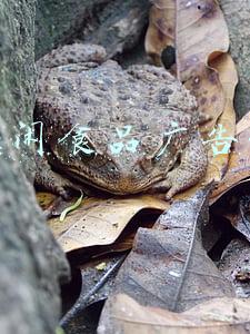 休闲食品广告语