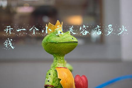 在南京开一个美容院要花多少钱？一年可以赚多少钱？：开个美容店一个月能挣多少钱