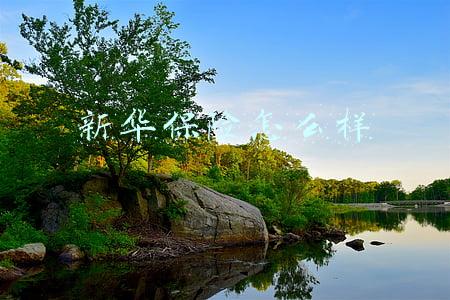 新华保险怎么样