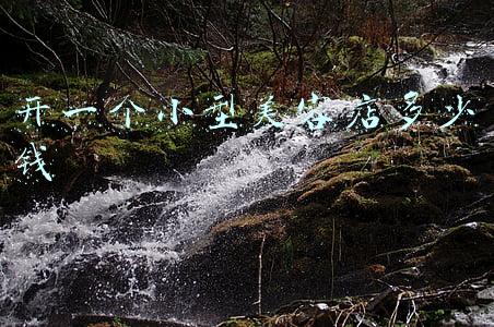 想搞一家美容院小店，一般需要多少钱_开个小美容店需要多少钱