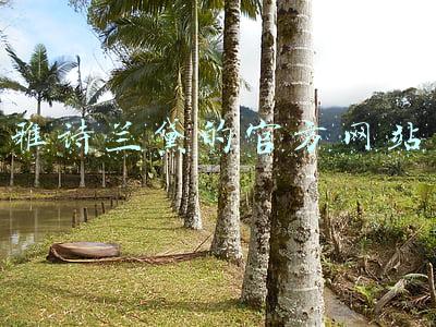 雅诗兰黛的官方网站