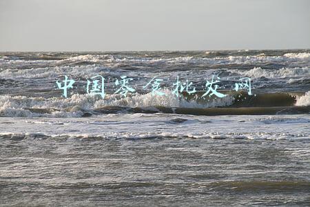 中国零食批发网
