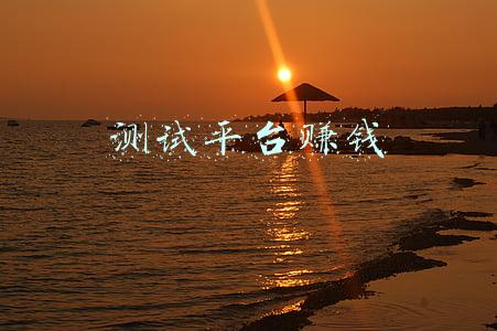 测试平台赚钱