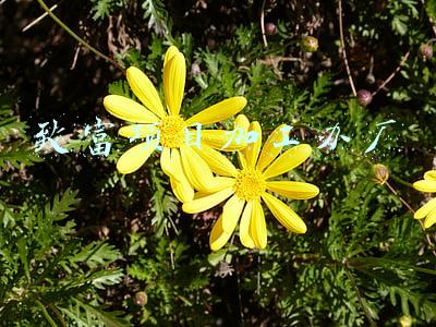 致富项目加工办厂 致富项目加工办厂