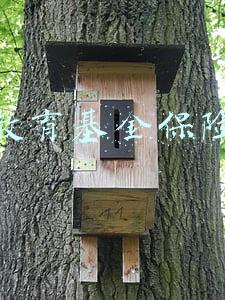 教育基金保险的坑(基金投资有哪些坑，你踩过哪个？｜聚焦3·15)