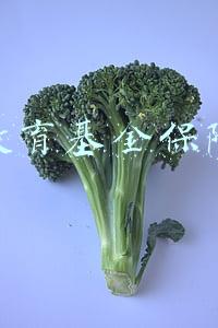 教育基金保险能退多少(投保三类保险可退税)