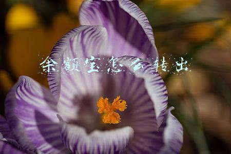 余额宝怎么转出