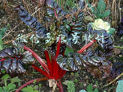 微信多账号软件下载(支持多账号切换登录！微信安卓版8.0.10正式版更新)