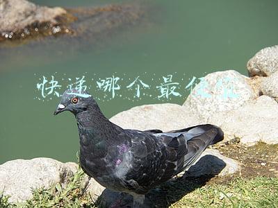 快递哪个最便宜