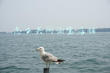 怎么关闭淘宝店铺
