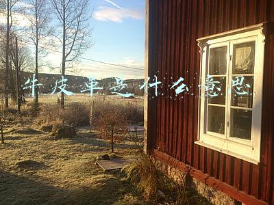 牛皮革是什么意思