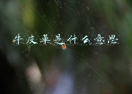 牛皮革是什么意思