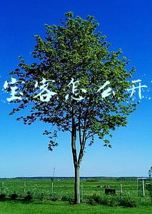 淘宝客怎么开通步骤(抖客（抖音淘客）怎么开通教程)