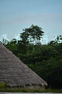 薅羊毛第一门户网站(职业化“薅羊毛”影响平台经济健康发展)