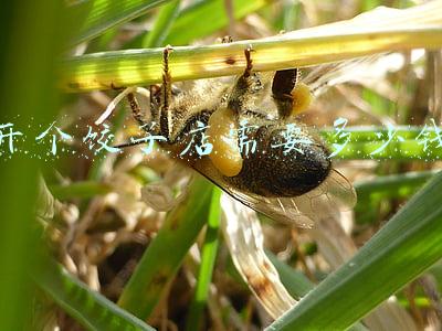 想开饺子店，赚钱吗：开饺子店赚钱吗
