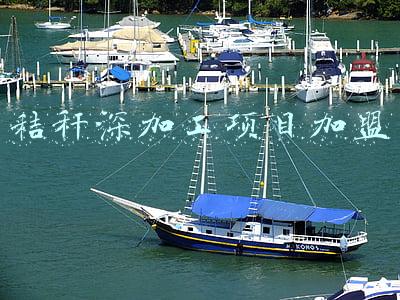 秸秆深加工项目加盟