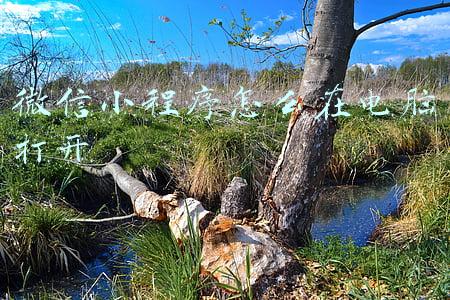 微信小程序怎么在电脑打开 微信小程序怎么在电脑打开