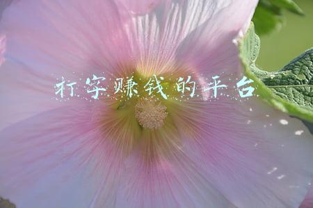 打字赚钱的平台