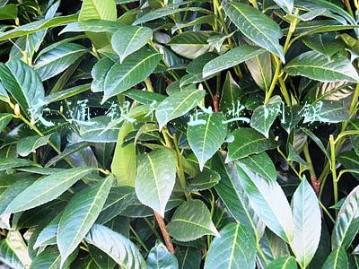 交通银行企业网银登录(临近春节！中国建设银行、中国交通银行、中国邮储银行发布重要公告)