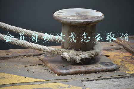 会员自动续费怎么取消