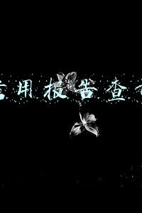 个人信用报告查询网(3种方式查询个人信用报告)