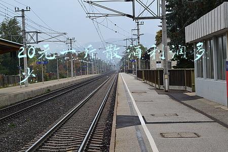 20元一斤散酒利润多少 20元一斤散酒利润多少