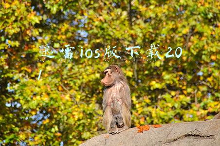 迅雷ios版下载201 迅雷ios版下载201