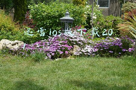 迅雷ios版下载201