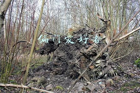 偏门爱好者 偏门爱好者