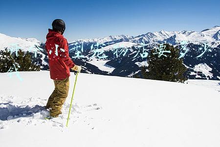 投资开一家宠物店需要什么设备?购买设备需要多少钱(开宠物店需要什么机器及价格)