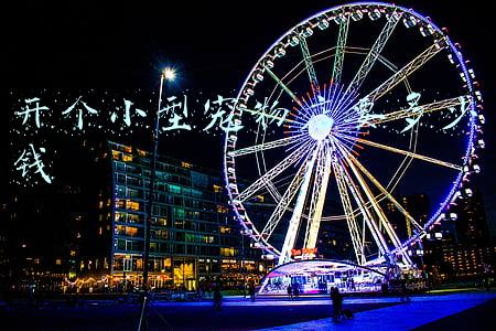 开个宠物店大概多少钱?(开宠物网店需要多少钱)