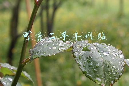 上海可靠的二手车网站(上海保险业支持建立二手车交易信息服务平台 促进上海二手车便利交易)