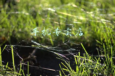 手机专卖店 手机专卖店