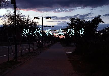 现代农业项目