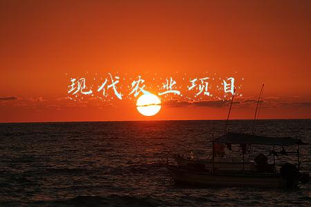 现代农业项目