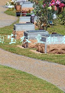 淘宝权重排名